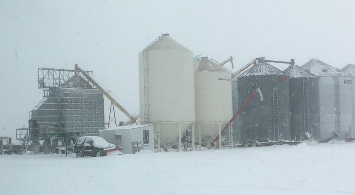 Trevor installation 1