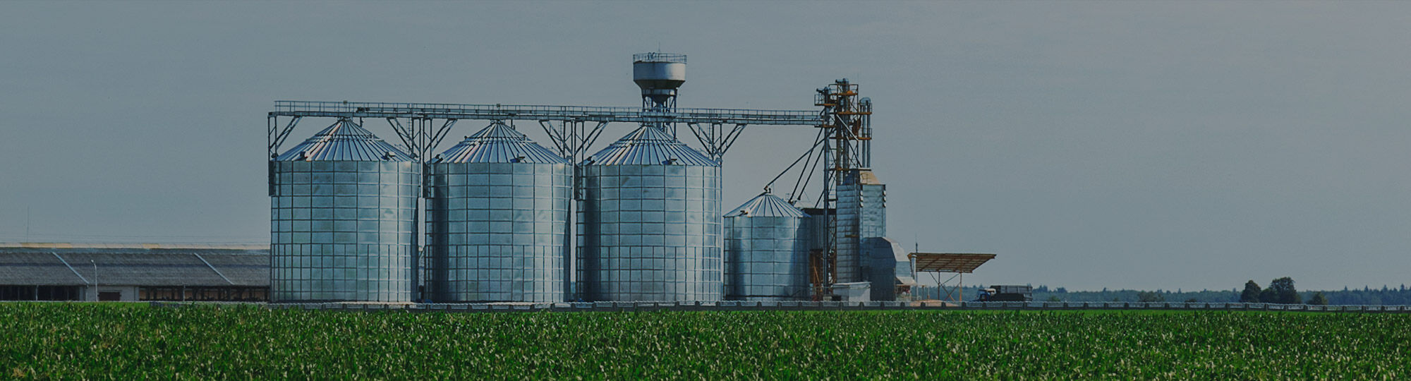 The Dryer Master approach to grain drying