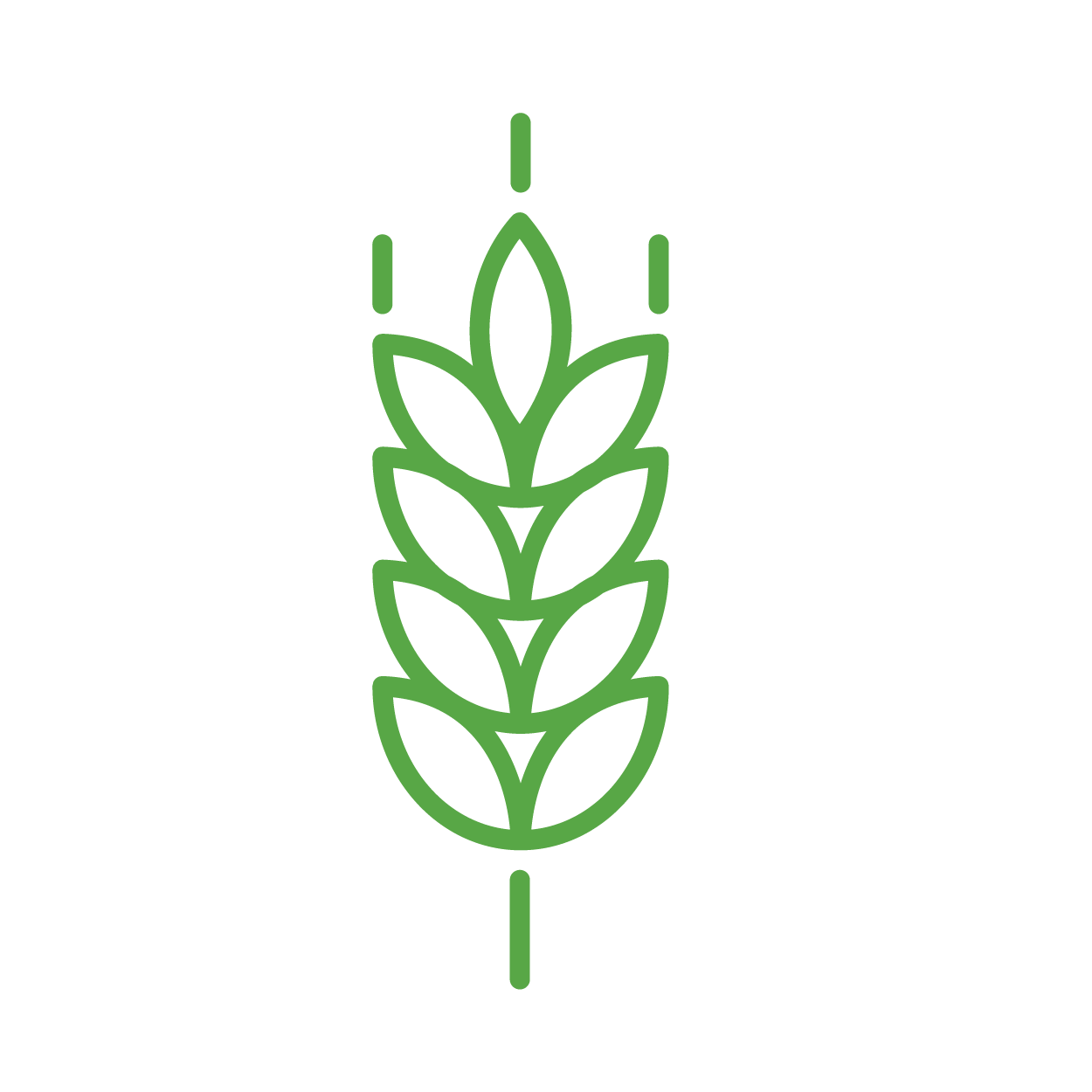 Wheat icon